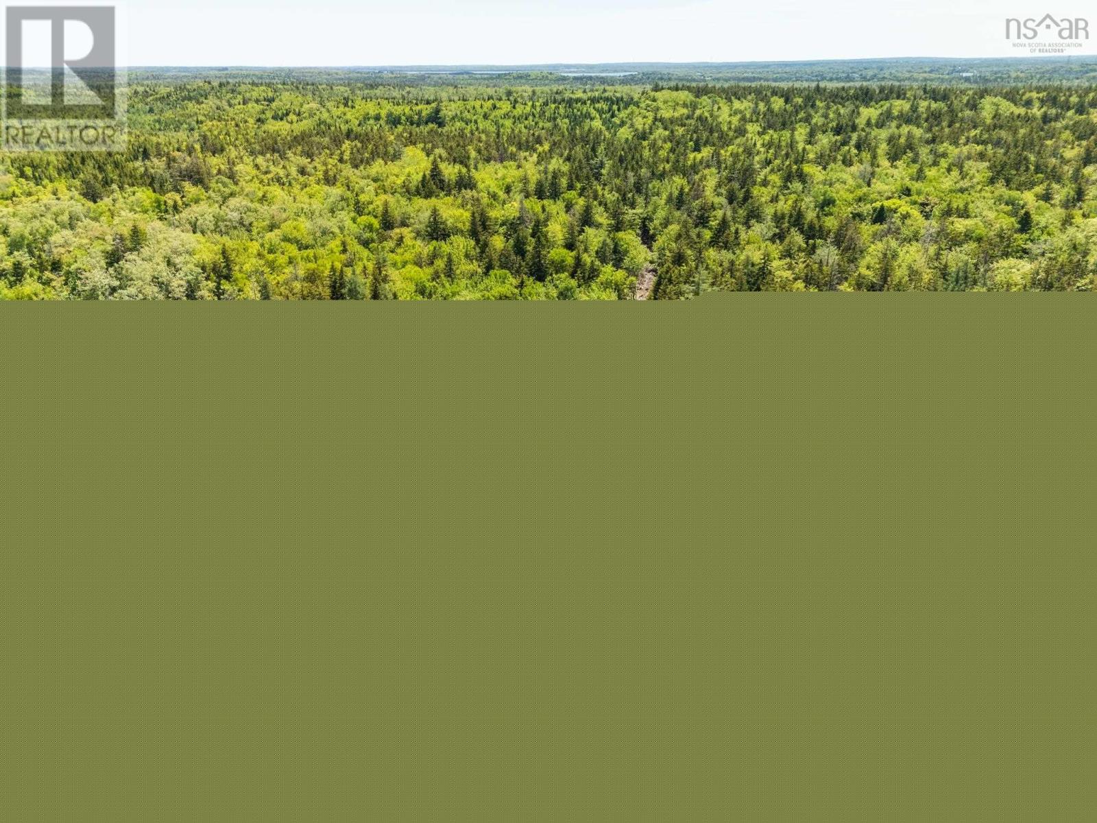 Lots, Belleville Road Property Photo 8