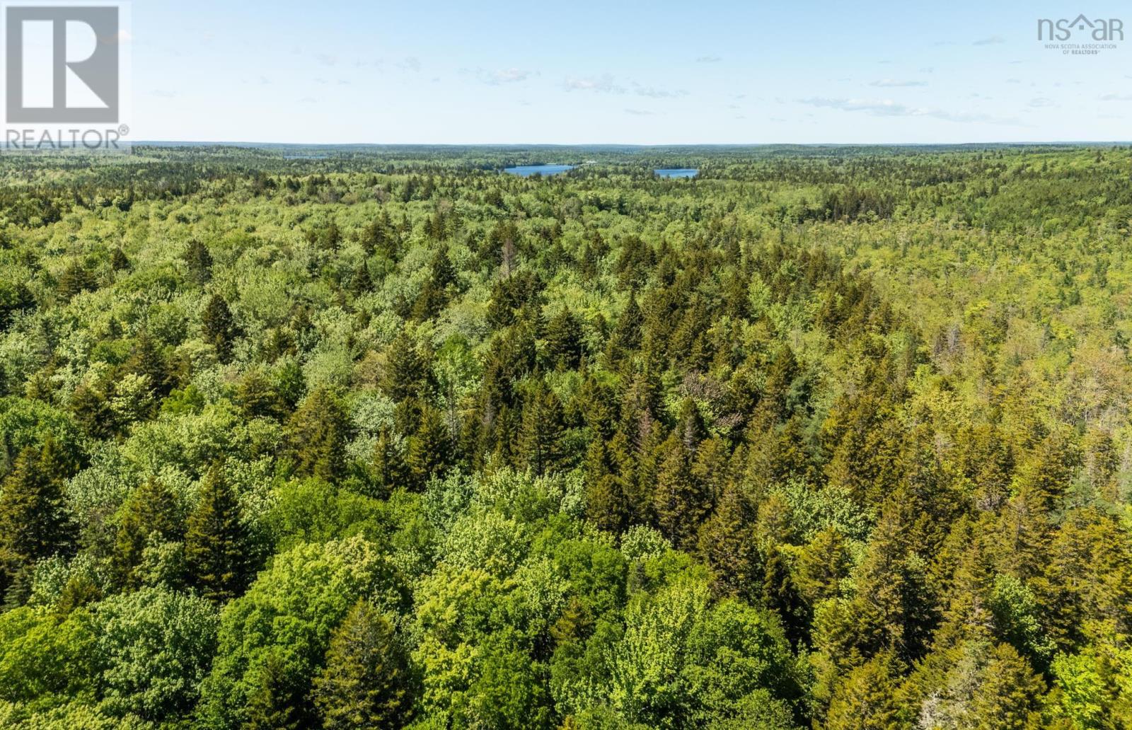Lot Property Photo 4