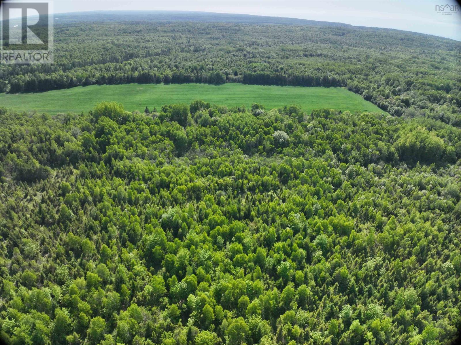 Lot 5 Baxters Harbour Road Property Photo 4