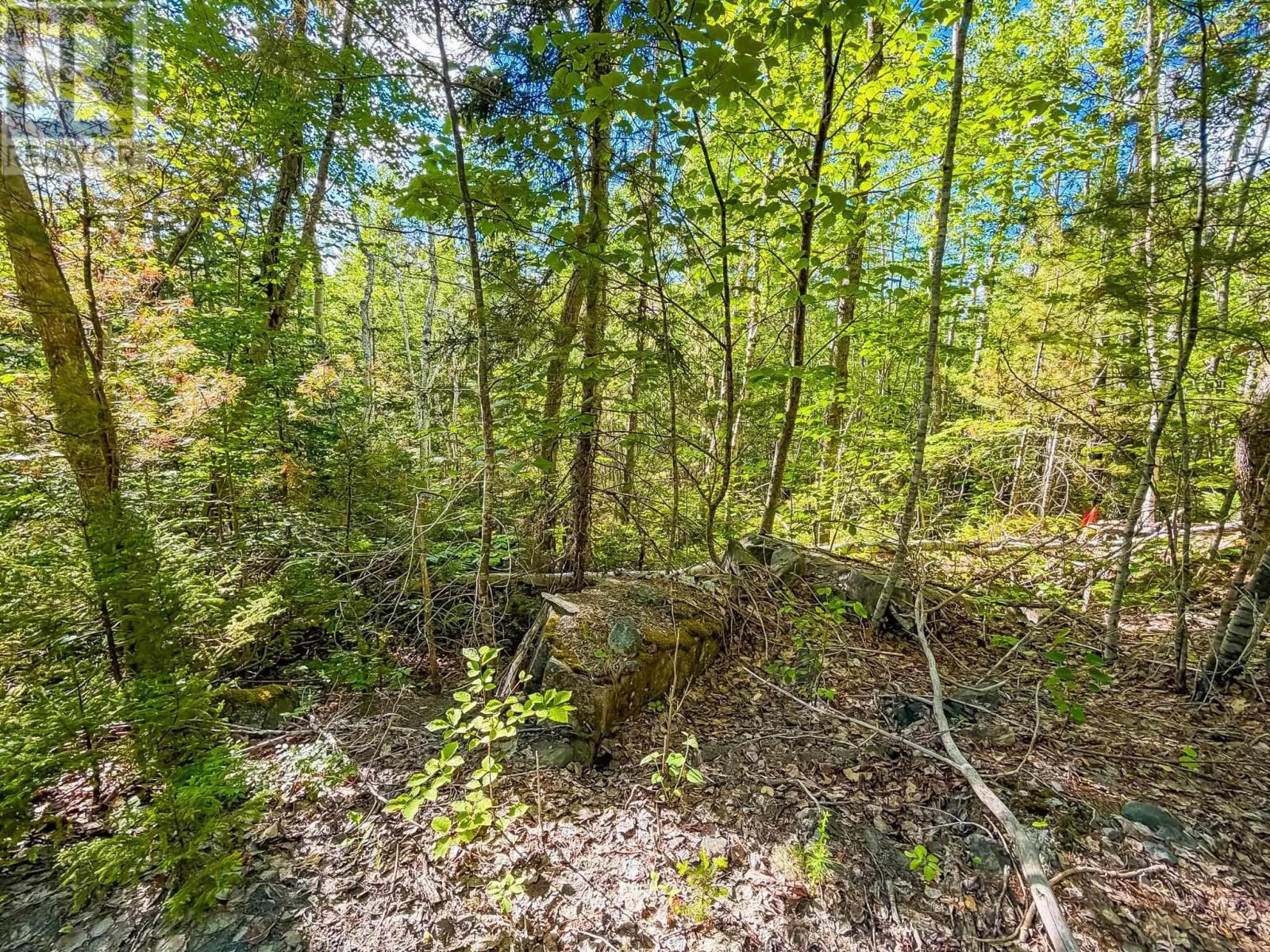 Lot (pid 70126610) Ponhook Shore Road Property Photo 3