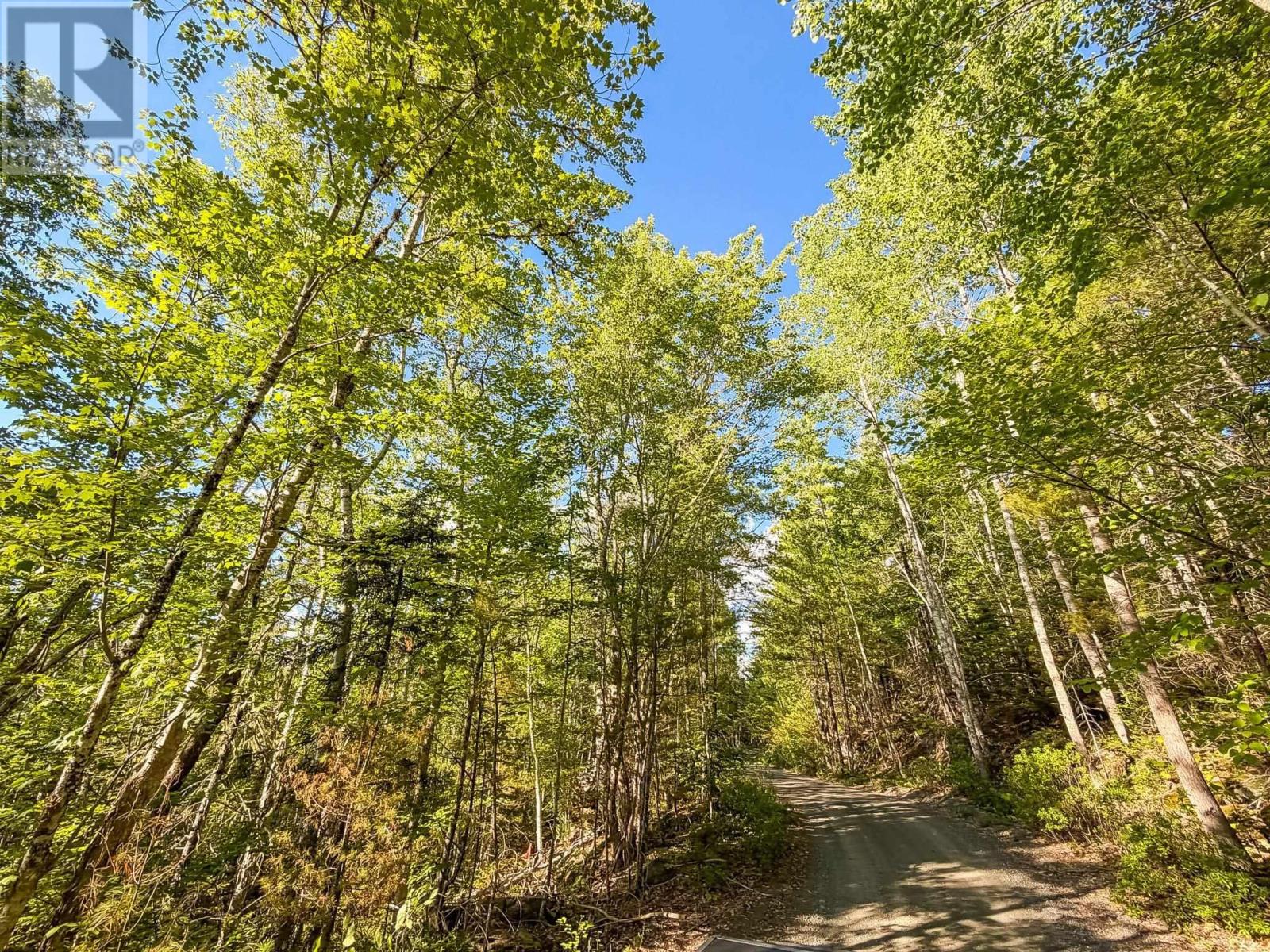 Lot (pid 70126610) Ponhook Shore Road Property Photo 4