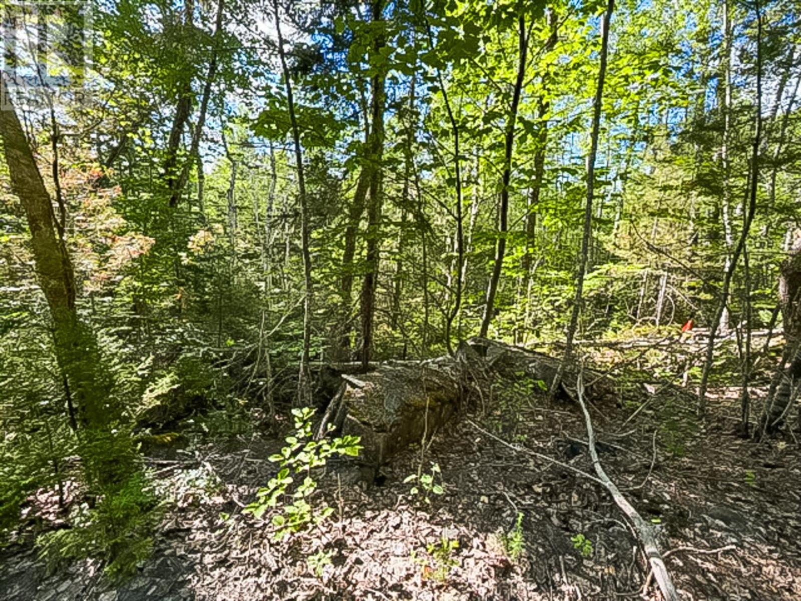 Lot (pid 70126610) Ponhook Shore Road Property Photo 5