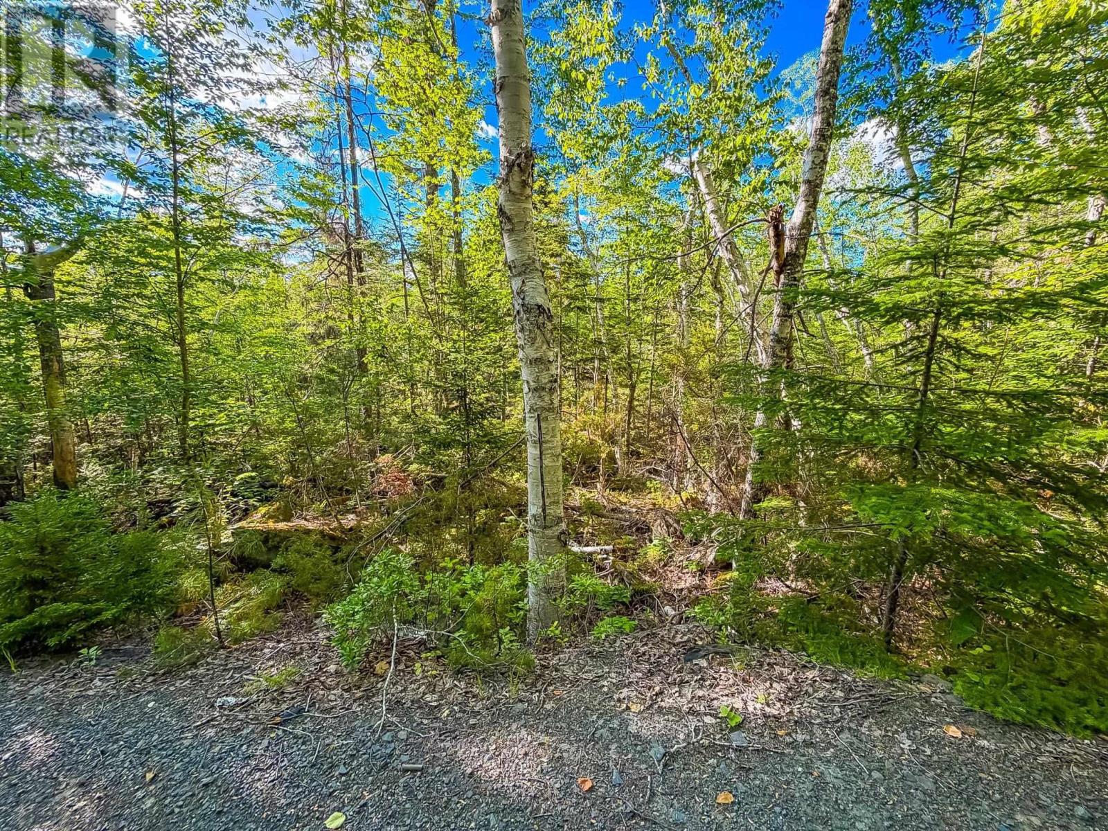 Lot (pid 70126610) Ponhook Shore Road Property Photo 7