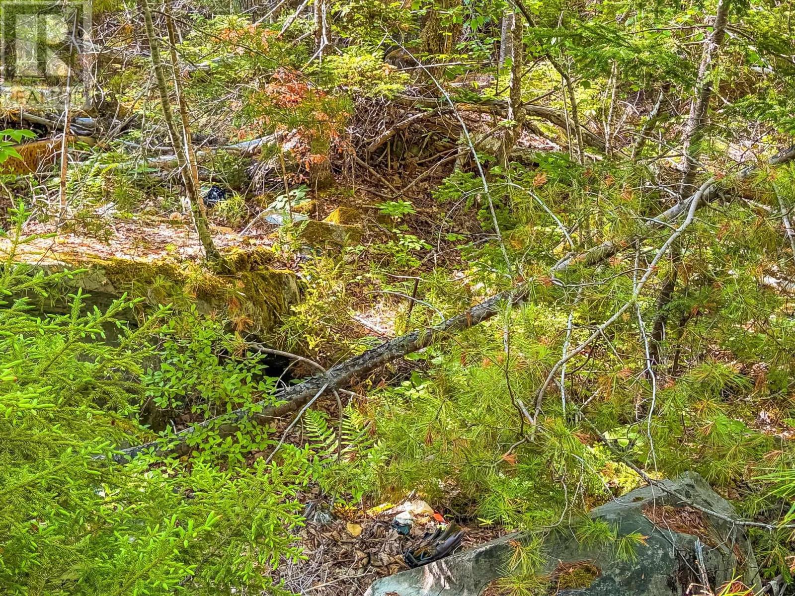Lot (pid 70126610) Ponhook Shore Road Property Photo 8