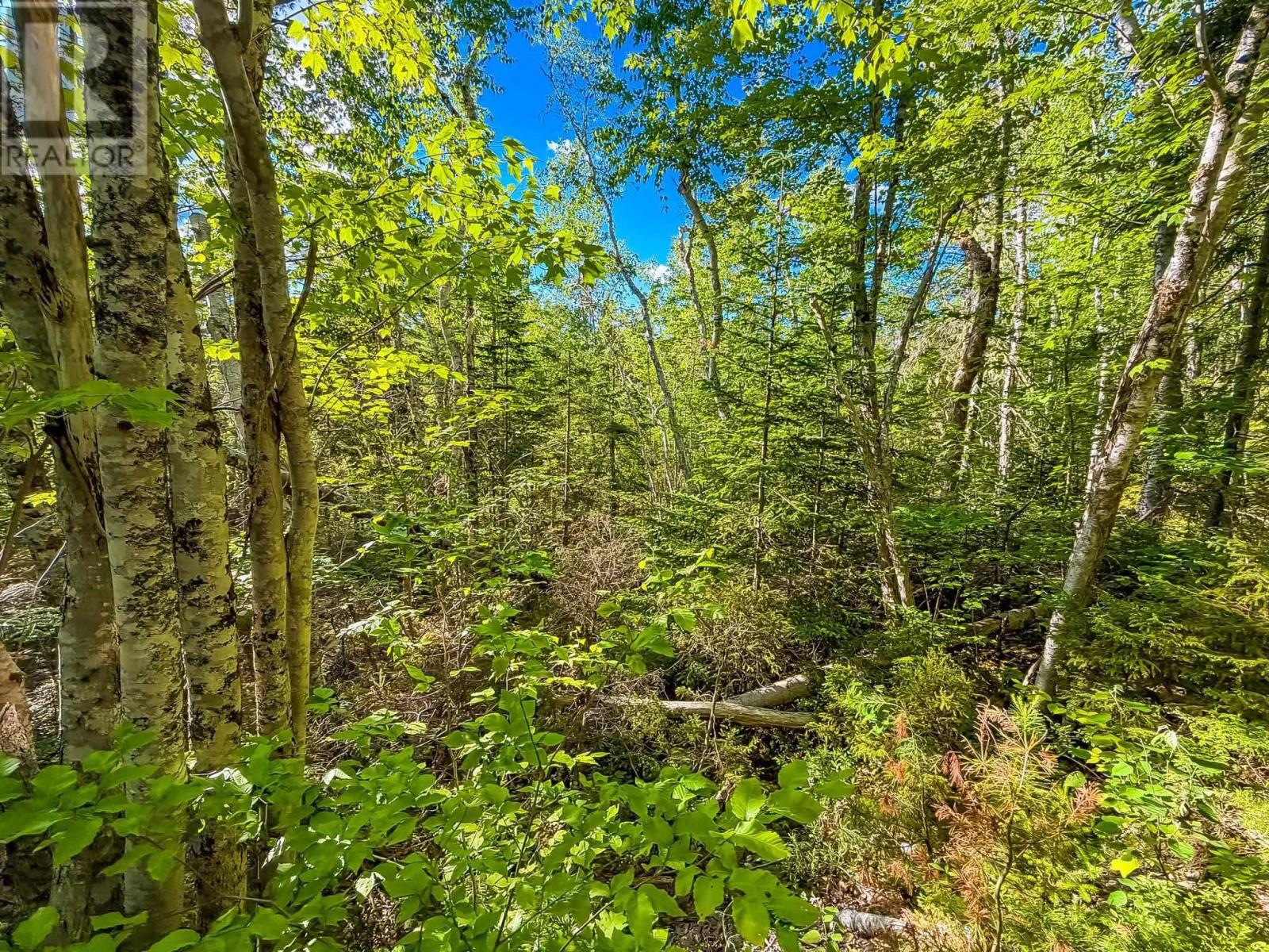 Lot (pid 70126610) Ponhook Shore Road Property Photo 9