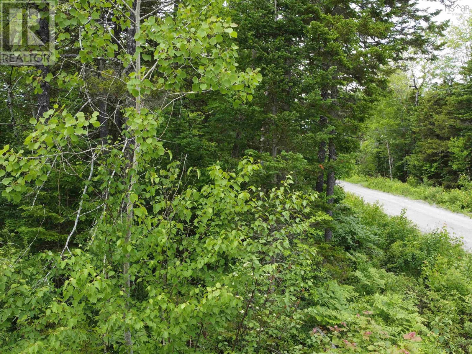 Lot 82 Pioneer Drive Property Photo 6