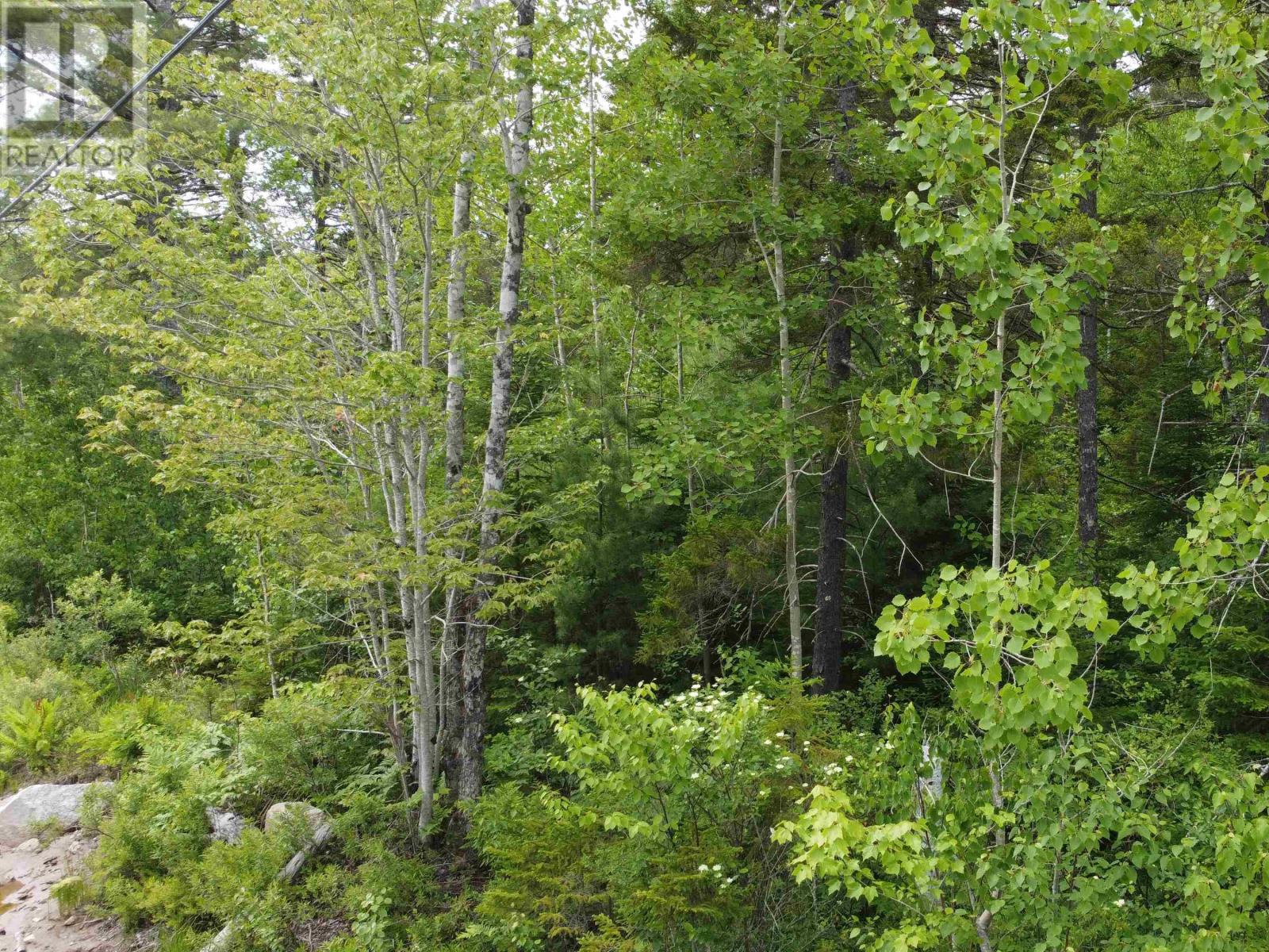 Lot 82 Pioneer Drive Property Photo 7
