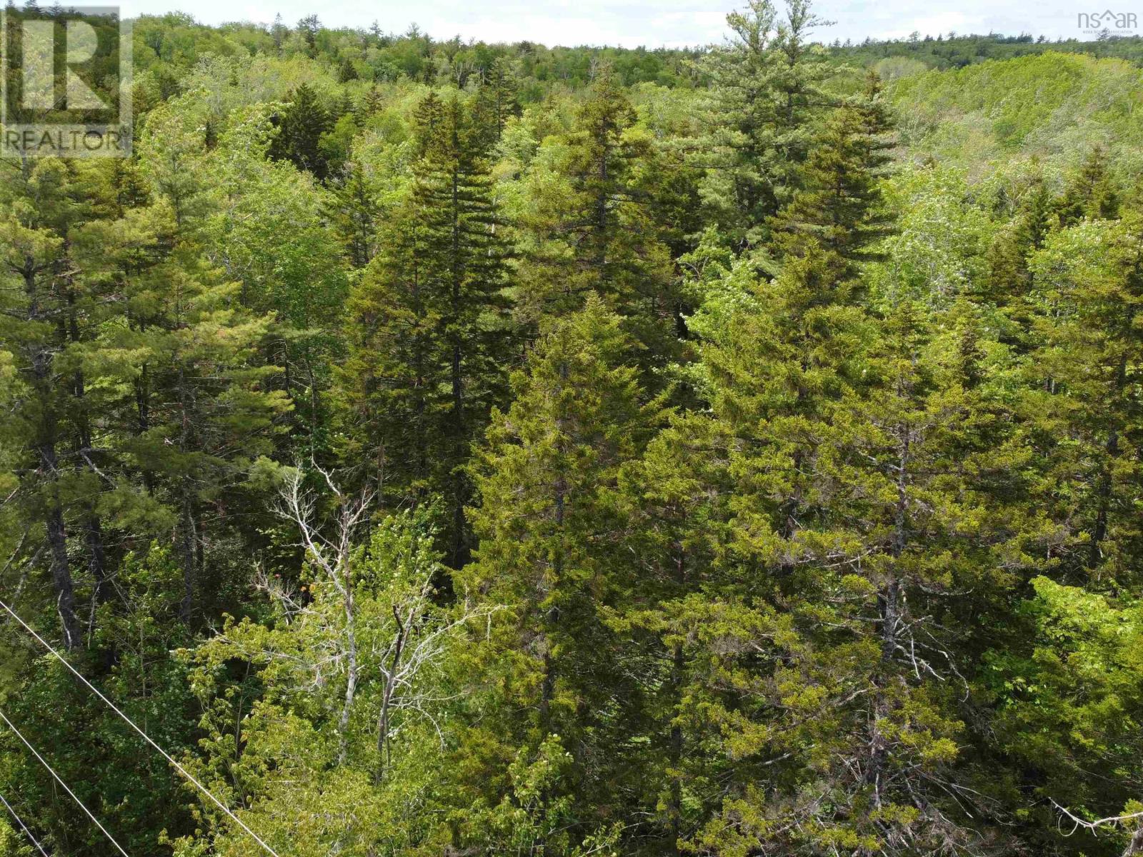 Lot 82 Pioneer Drive Property Photo 8