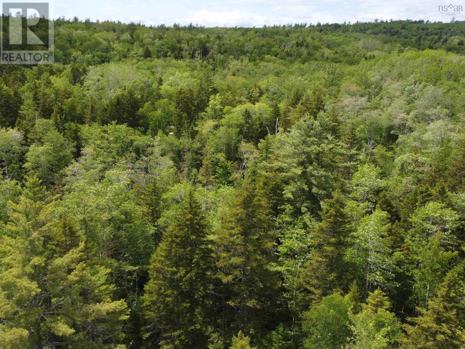 Lot 82 Pioneer Drive Property Photo 9