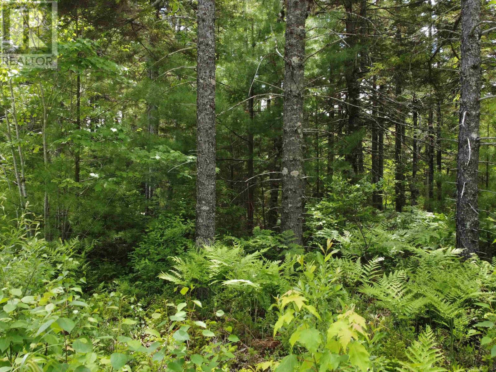 Lot 82 Pioneer Drive Property Photo 12