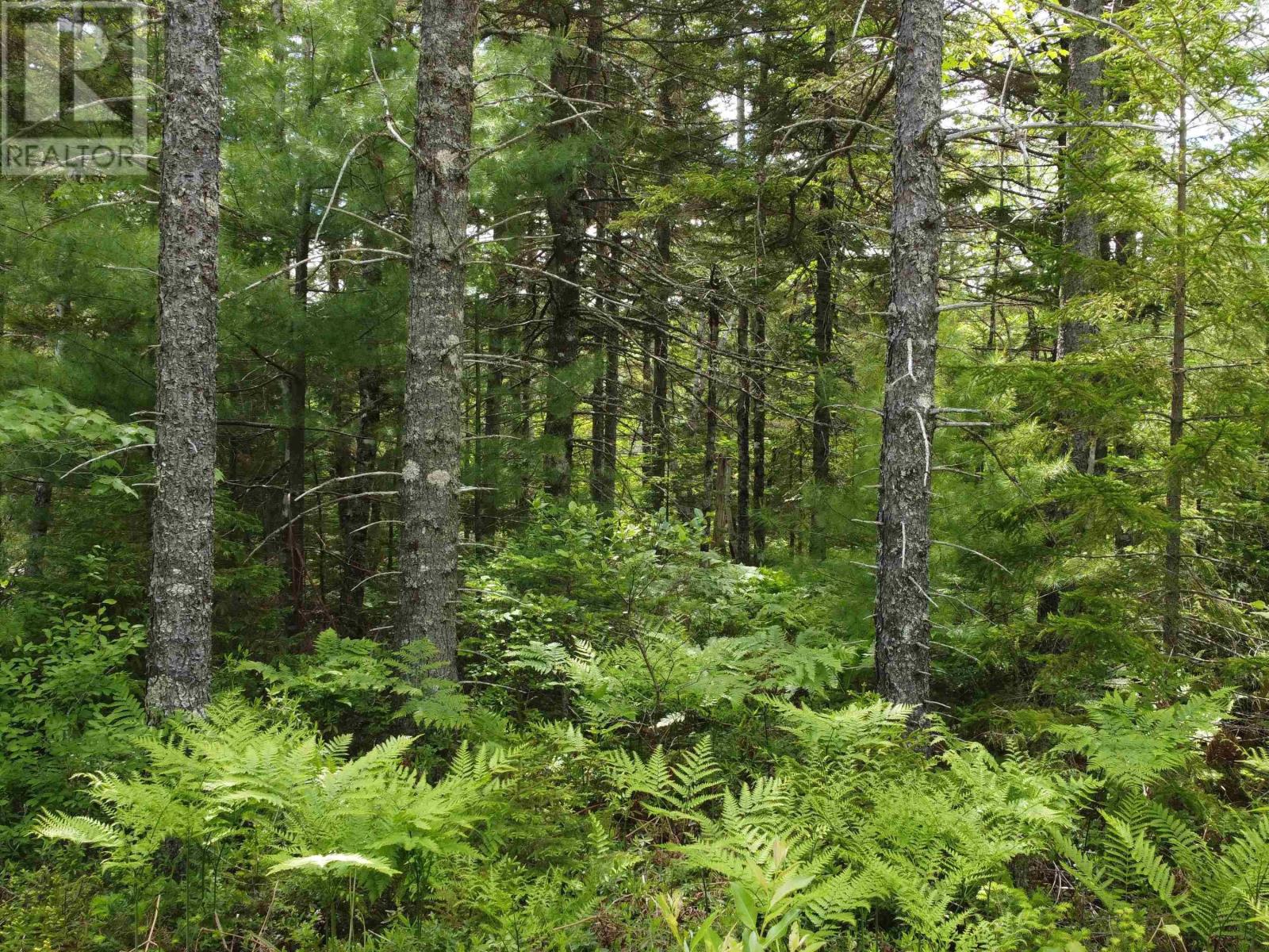 Lot 82 Pioneer Drive Property Photo 13