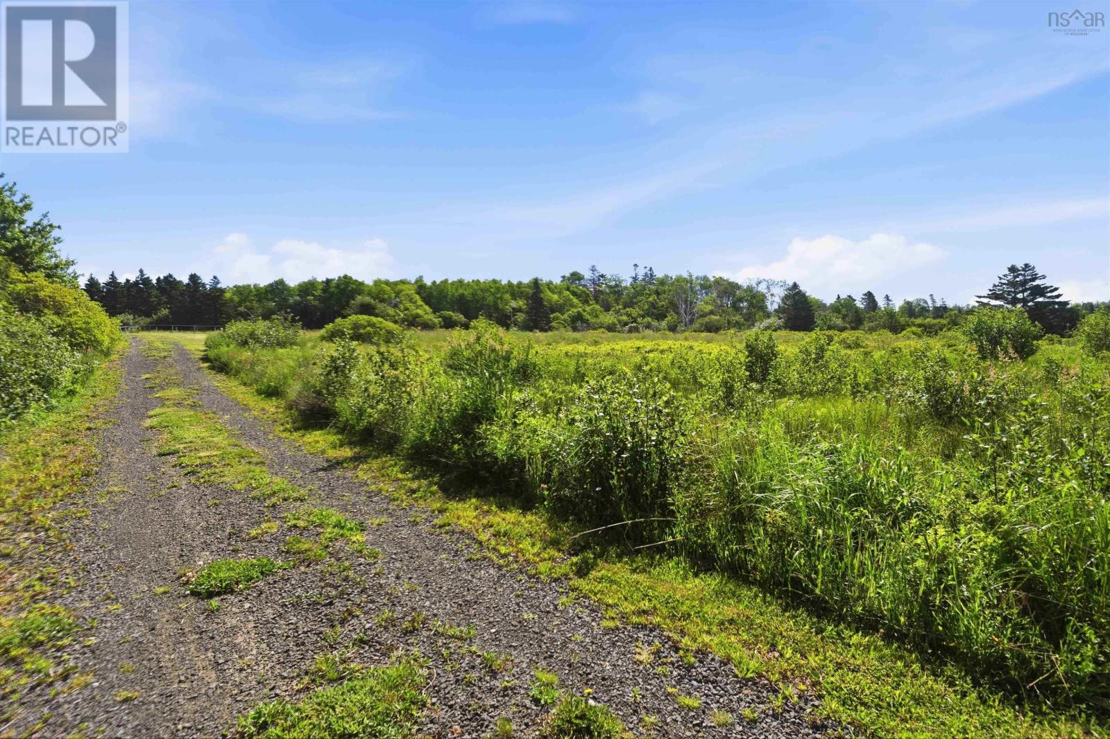 Lots B & C Highway 101 Property Photo 10