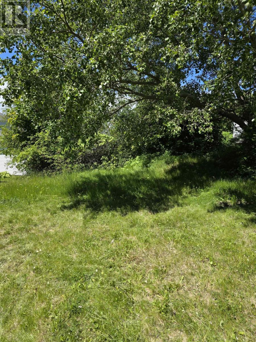 73 Taylor Street Property Photo 5