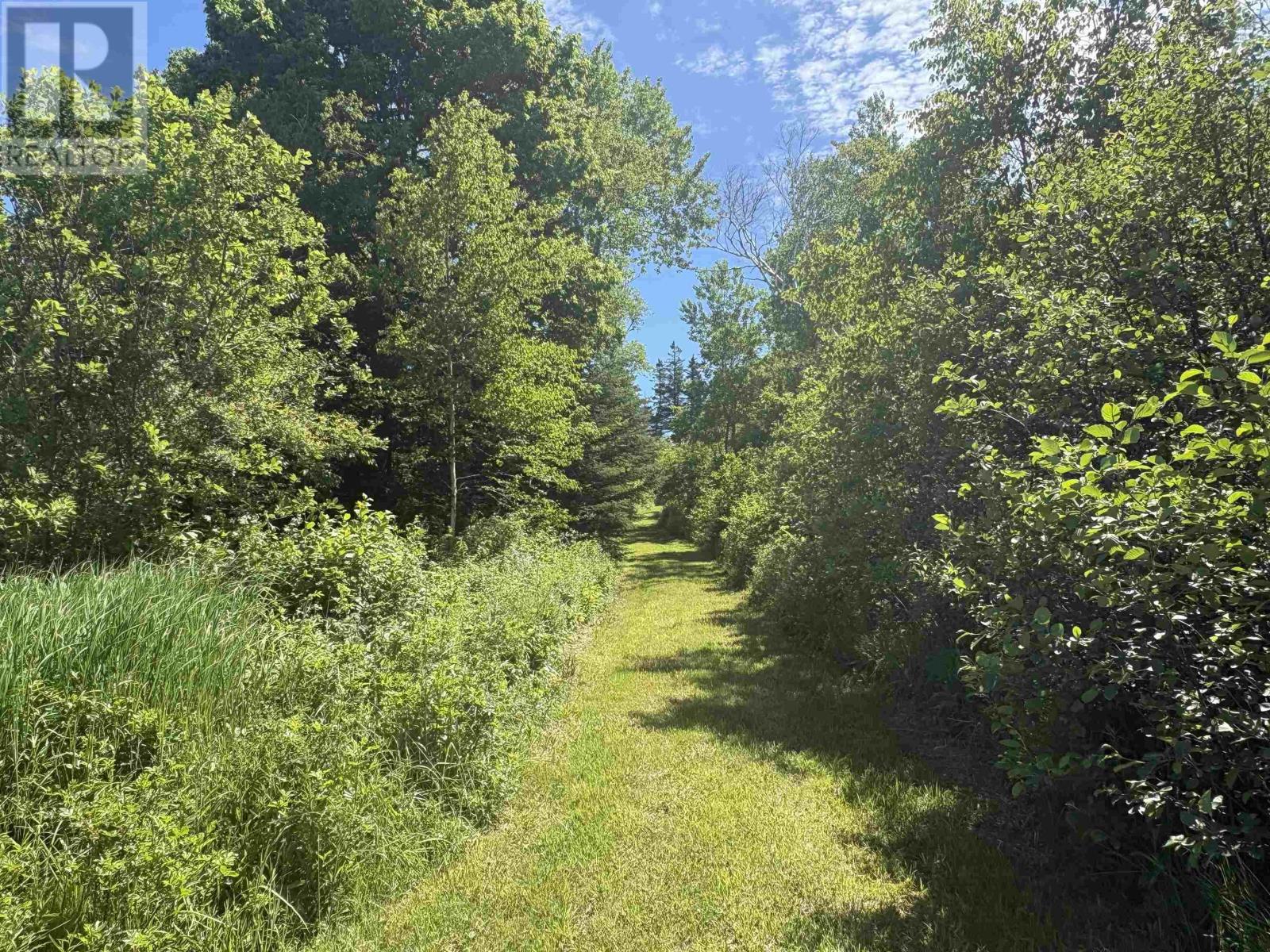 Ross Creek Road Property Photo 18