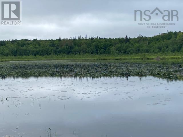 117 Shore Road Property Photo 2