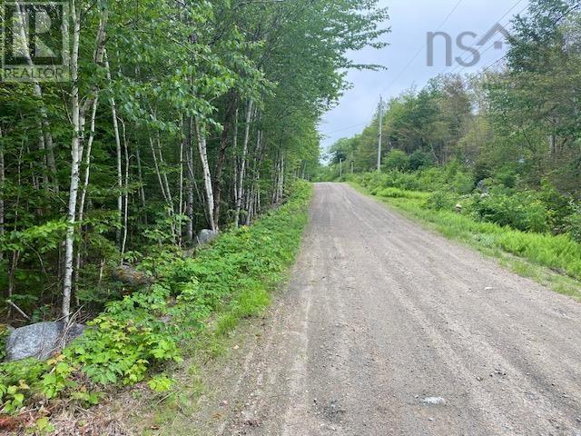 117 Shore Road Property Photo 7