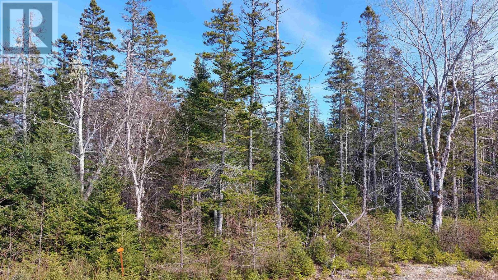 Lot 53 Peter Sosna Dr Property Photo 6