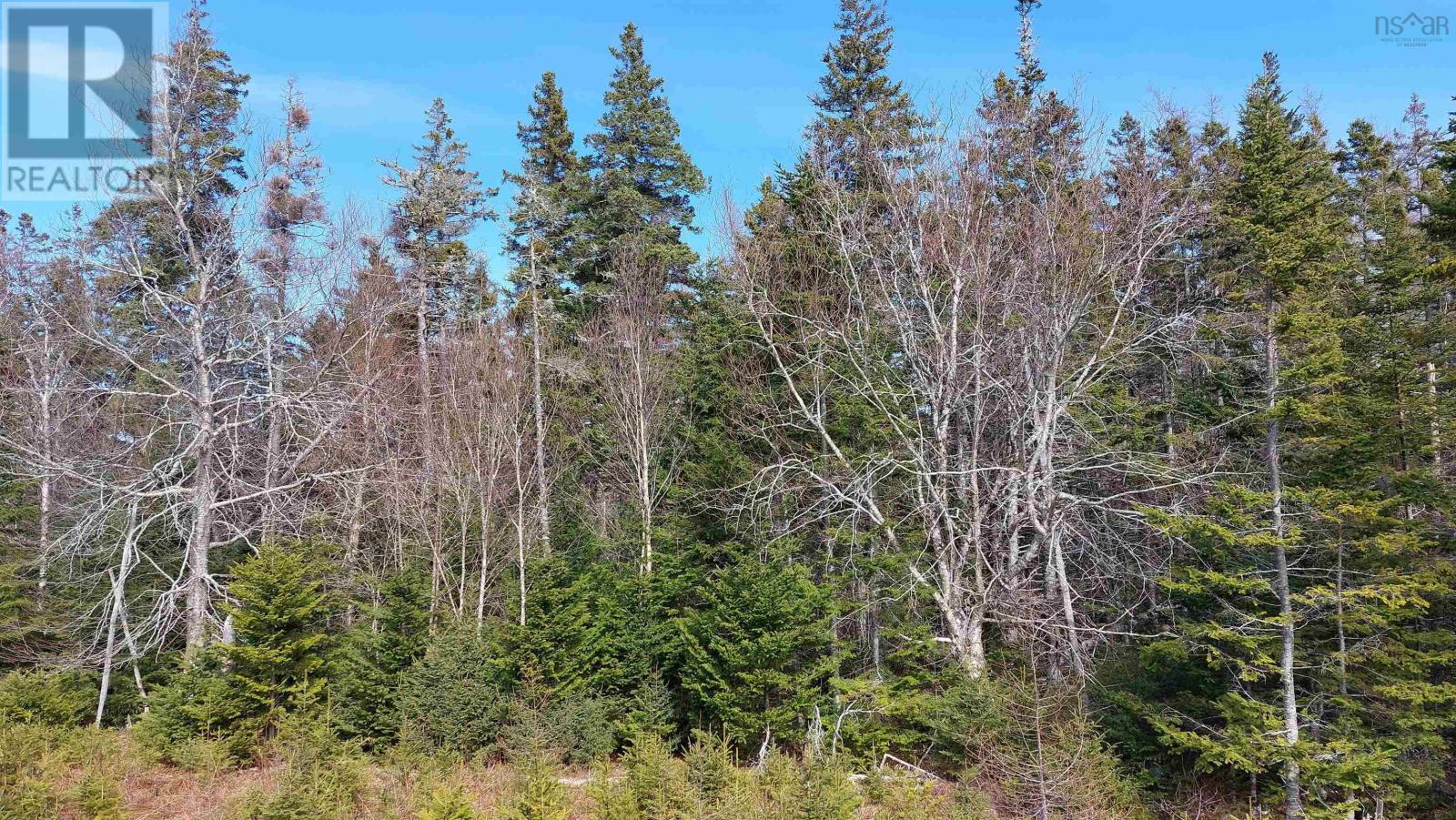 Lot 53 Peter Sosna Dr Property Photo 12