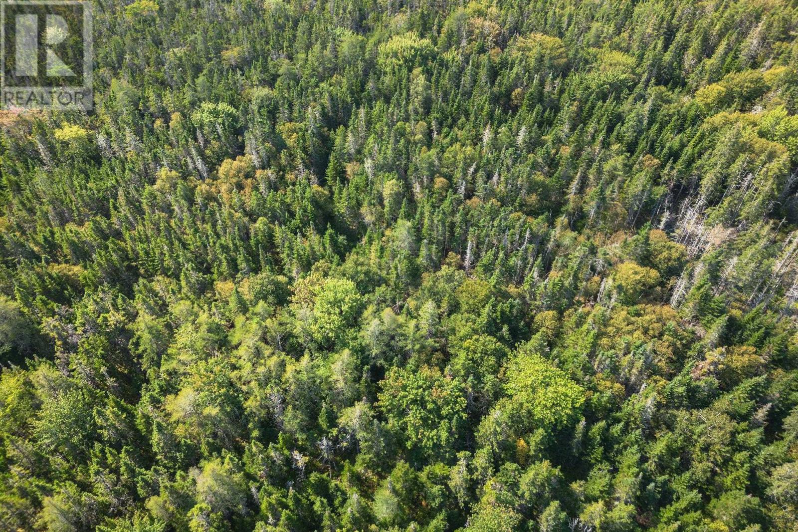 Lot 53 Peter Sosna Dr Property Photo 13