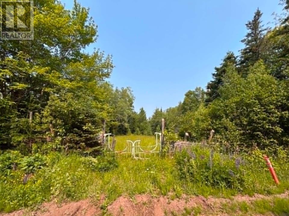 Acreage Mill Road Property Photo 8