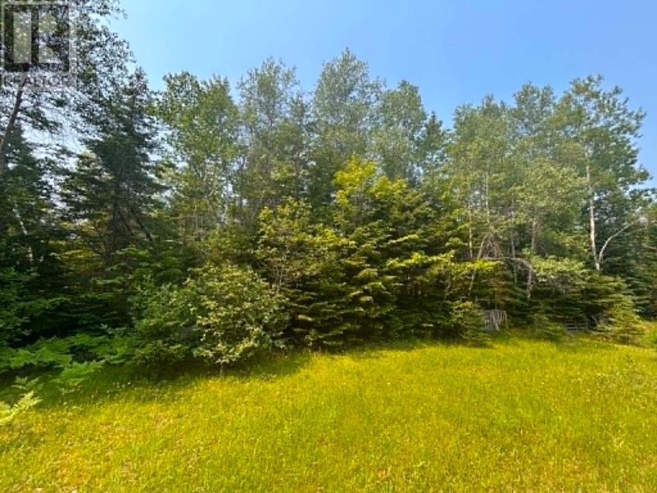 Acreage Mill Road Property Photo 11