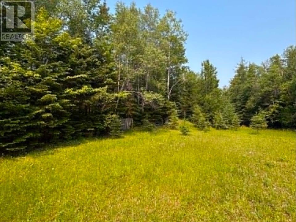 Acreage Mill Road Property Photo 12