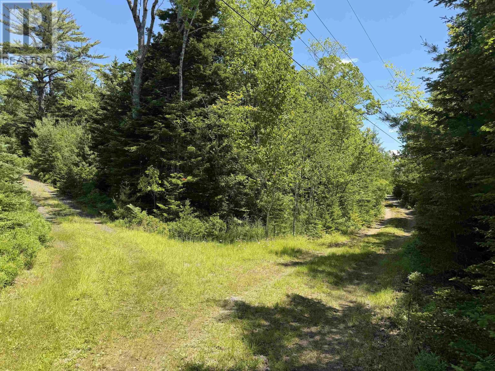 439 Plymouth Gentian Road Property Photo 26