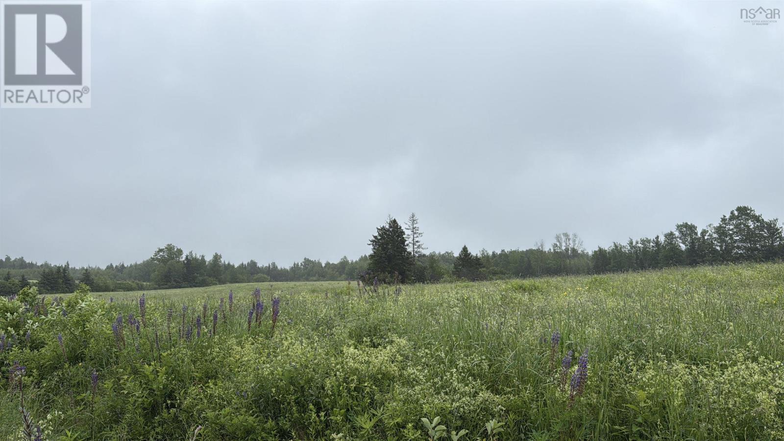 Wallie Mingo Road Property Photo 1