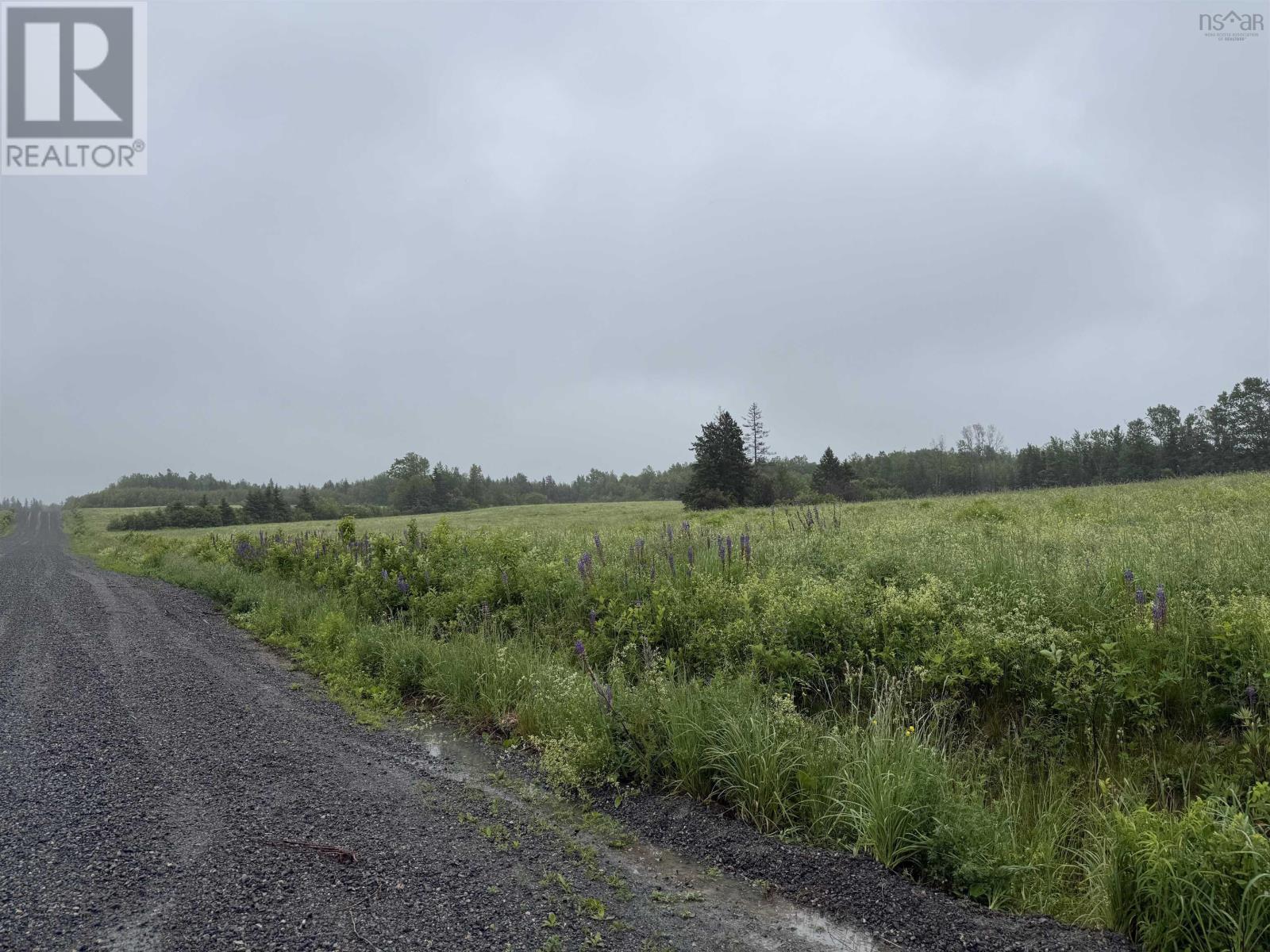 Wallie Mingo Road Property Photo 2