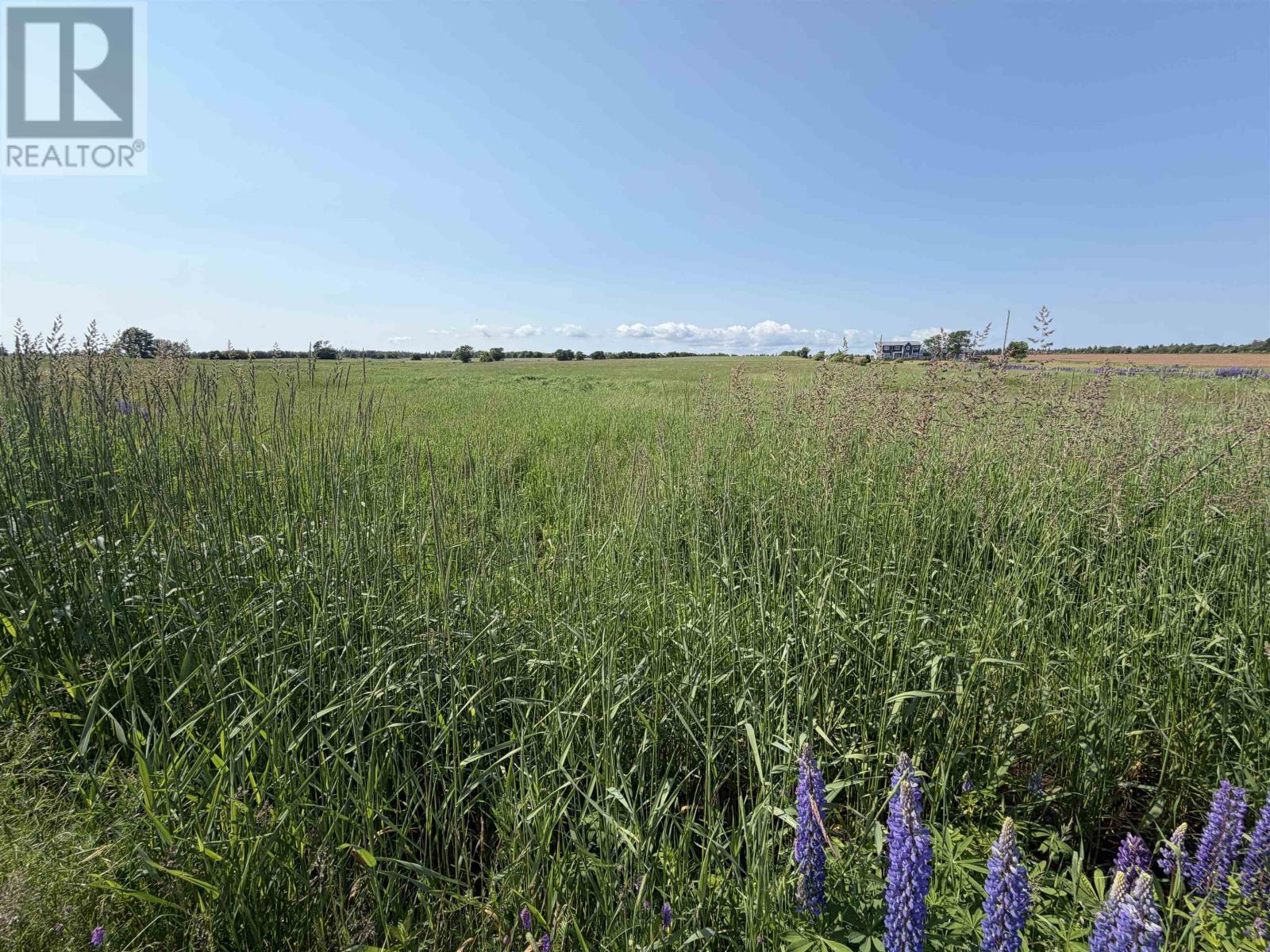 Lot 2023-2 Cape Bear Road Property Photo 2