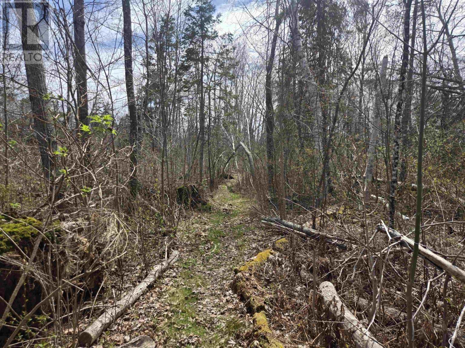 Lot B Malagash Road Property Photo 5