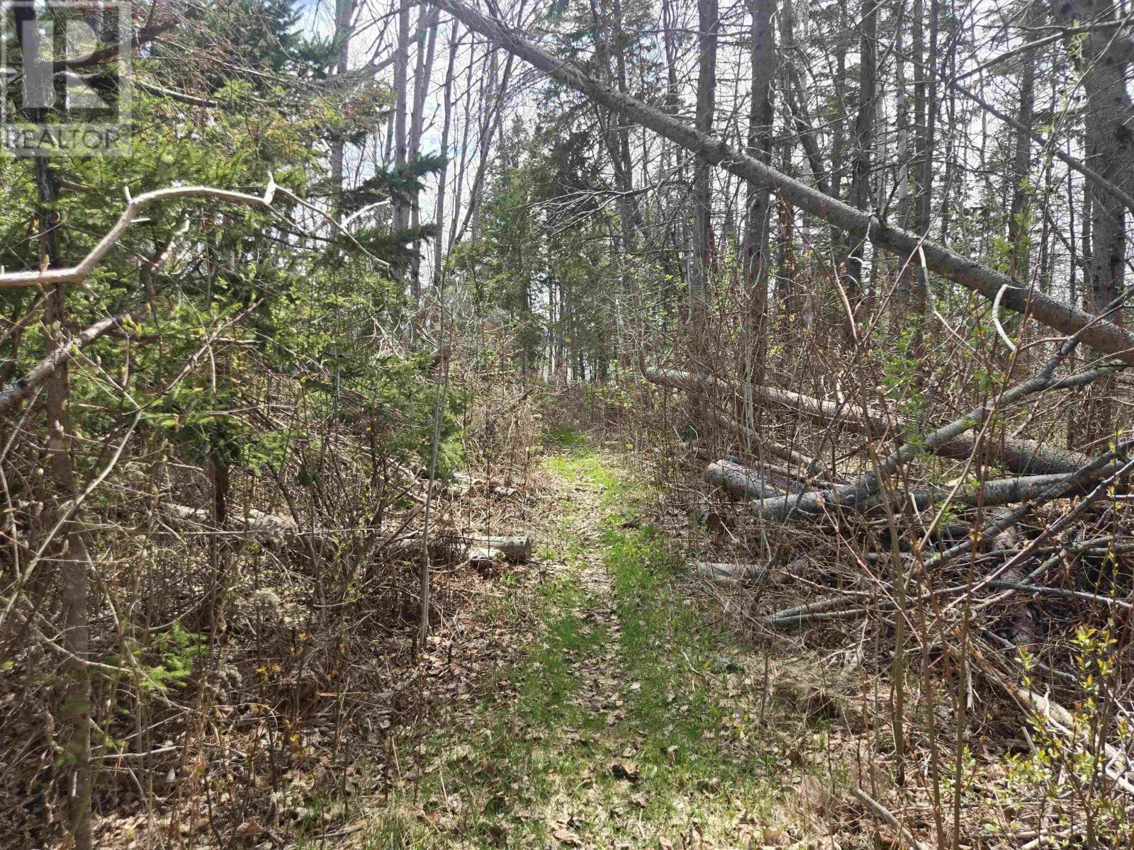 Lot B Malagash Road Property Photo 6