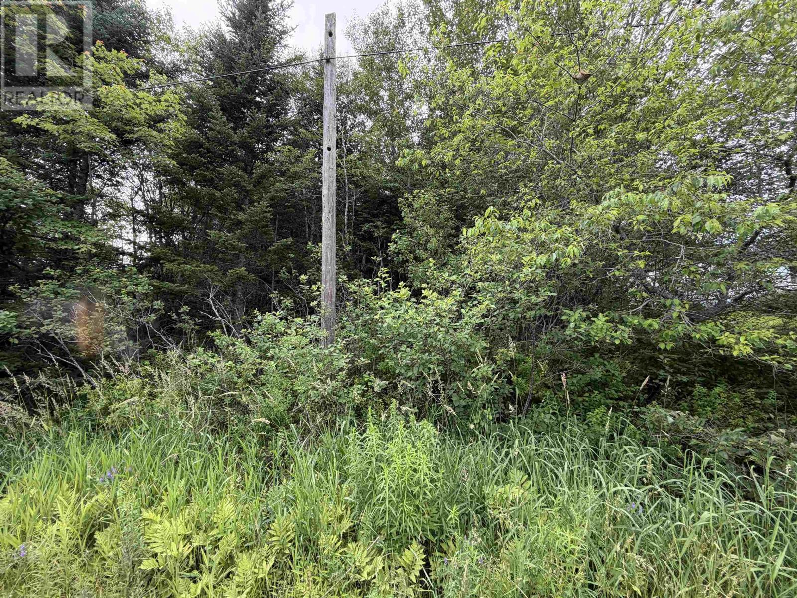 Lot 14 Highway 2 Photo de la propriété 1