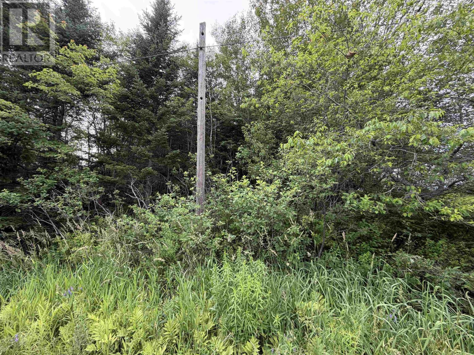 Lot 14 Highway 2 Property Photo 2