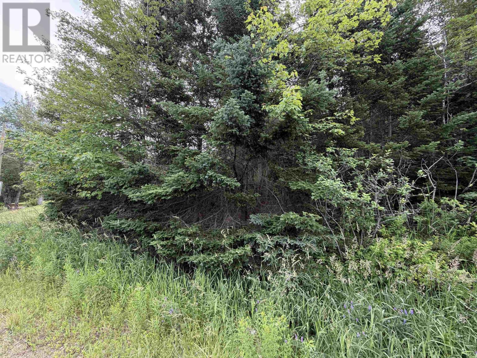 Lot 14 Highway 2 Property Photo 3