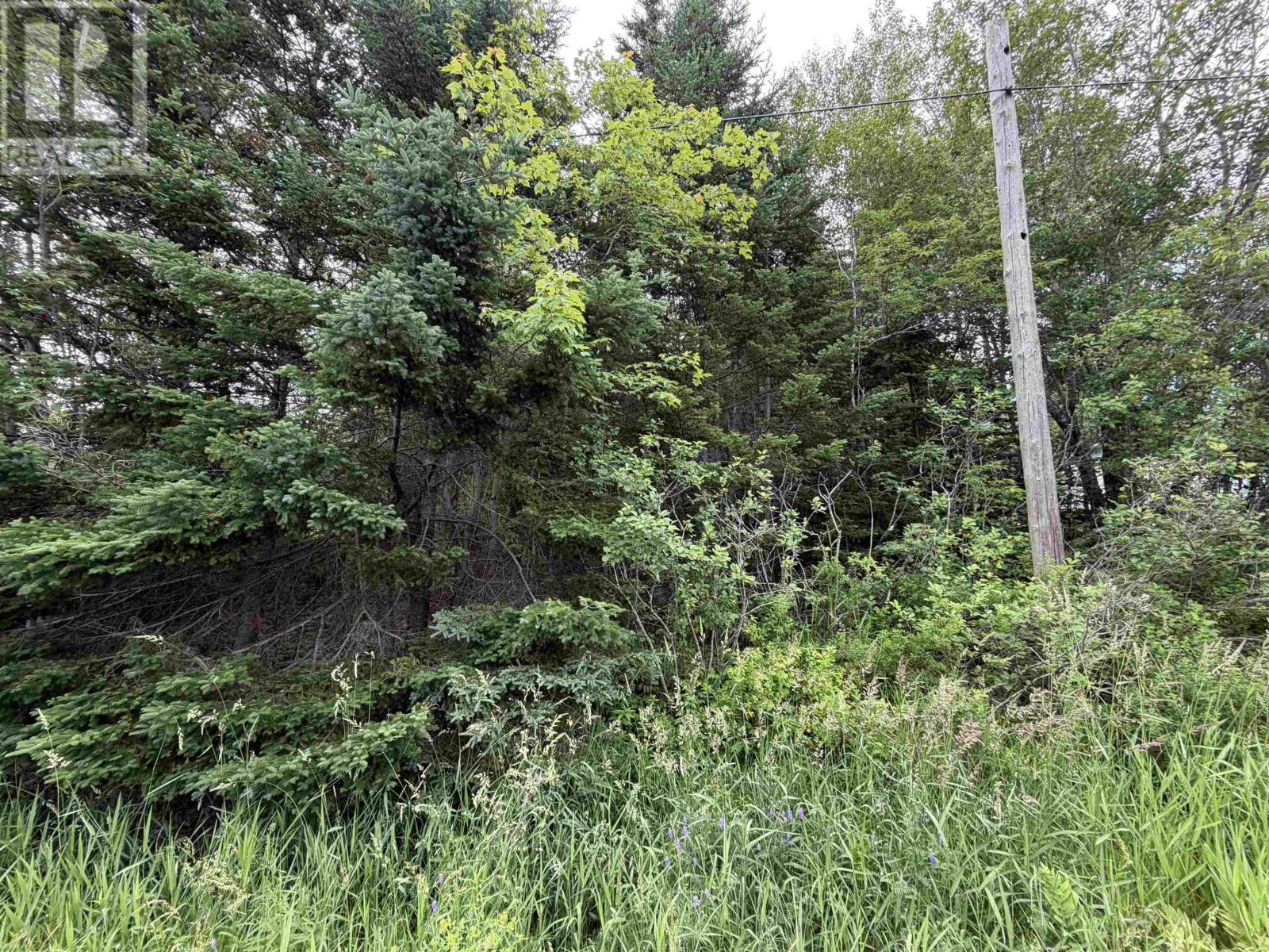 Lot 14 Highway 2 Property Photo 4