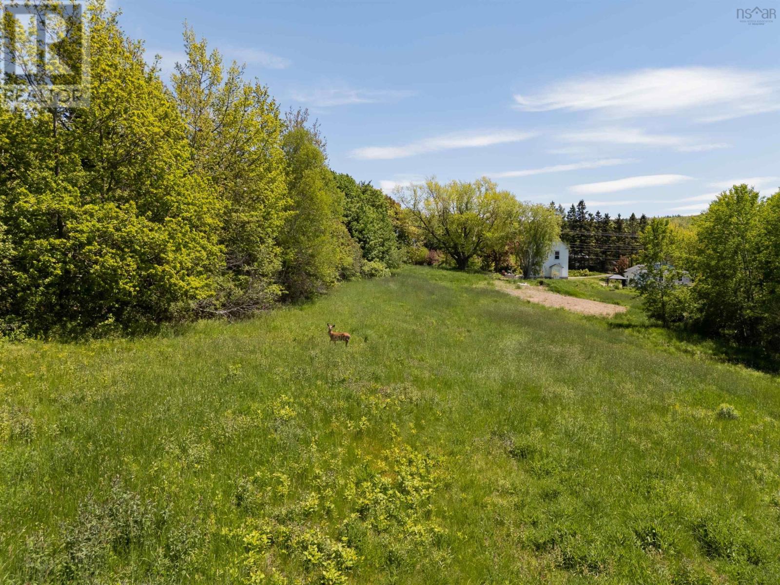 Highway 201 Property Photo 8