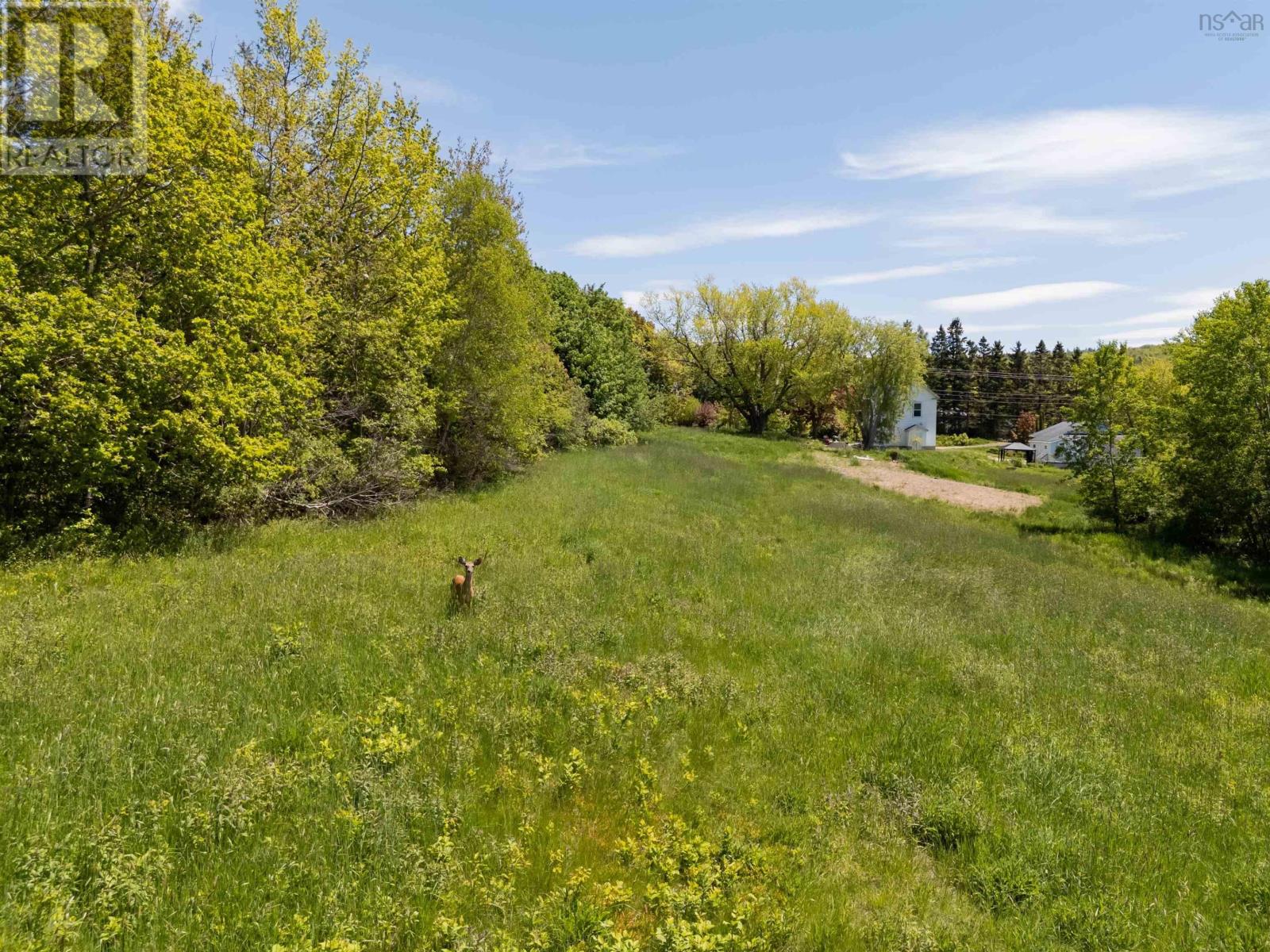 Highway 201 Property Photo 9