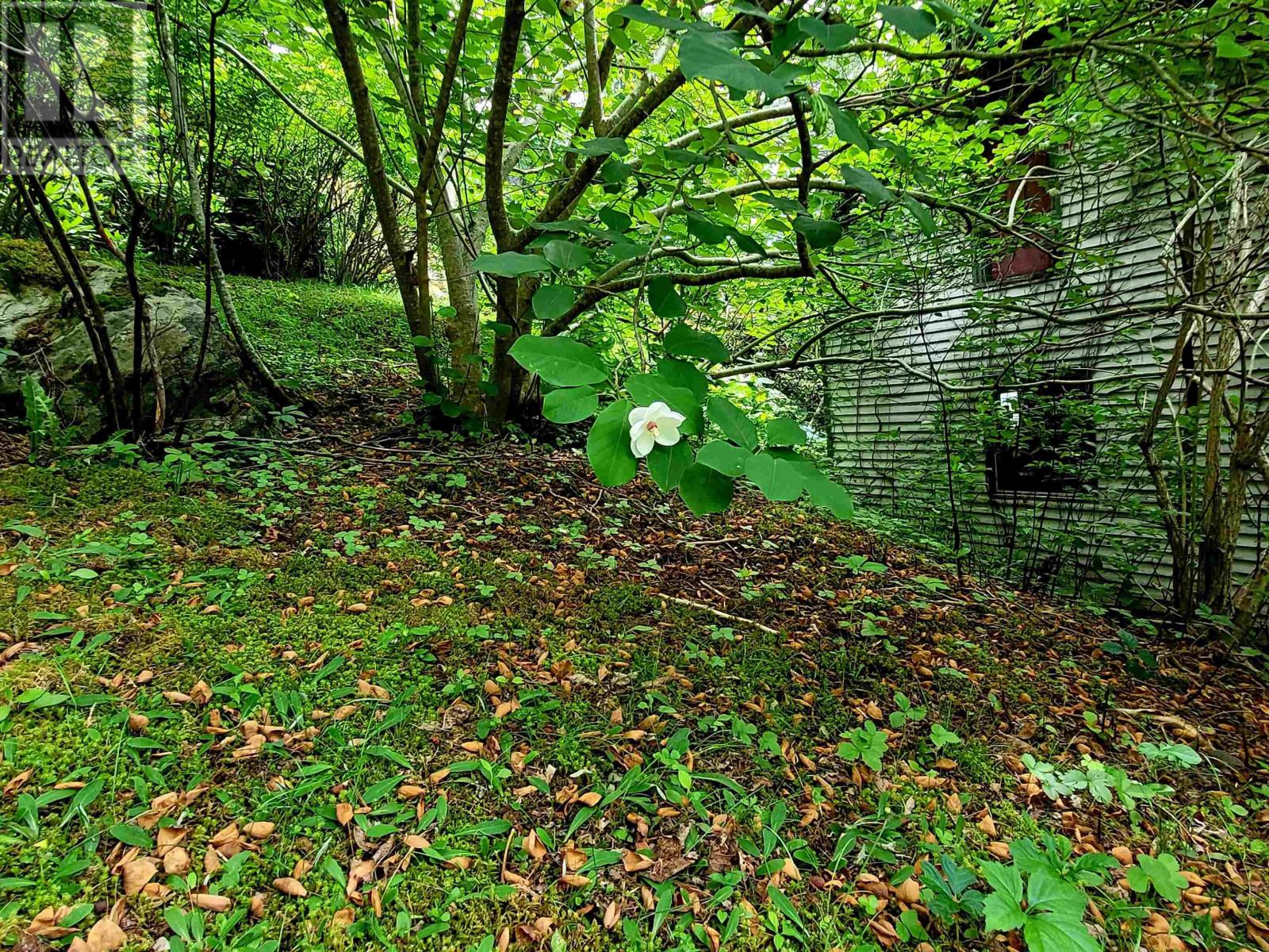 221 Highway 8 Property Photo 35