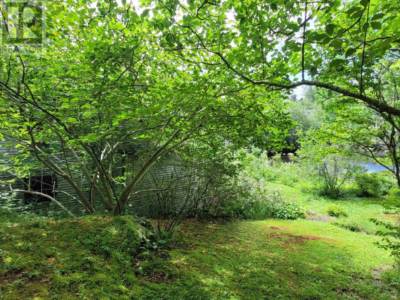 221 Highway 8 Property Photo 36