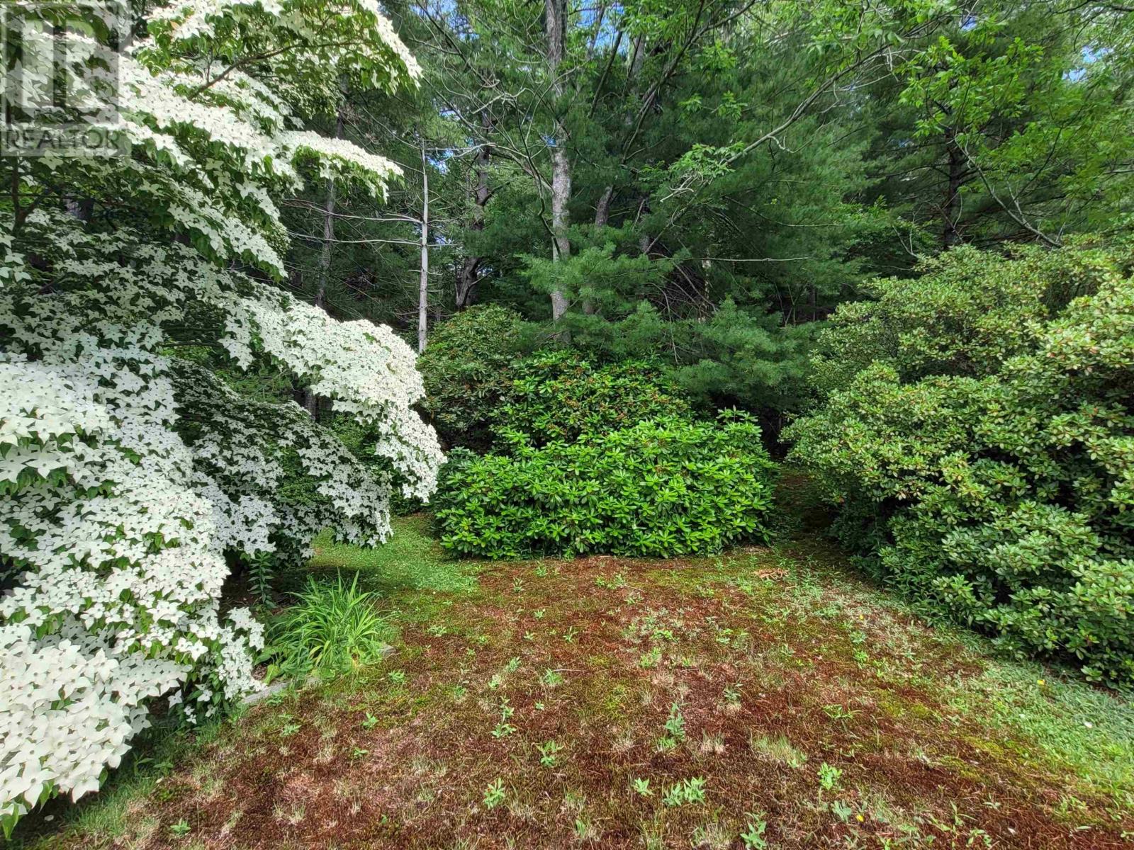 221 Highway 8 Property Photo 38