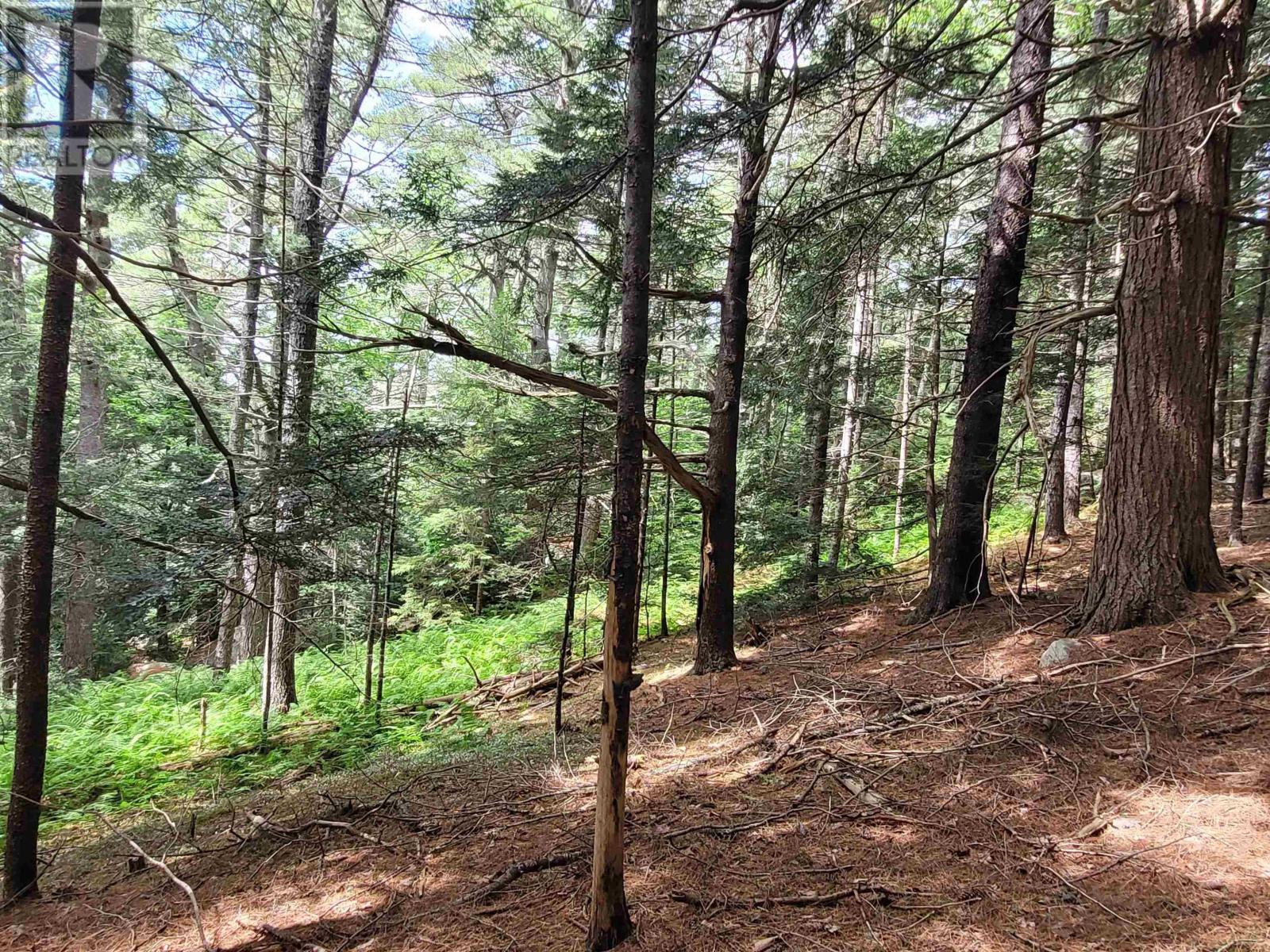 221 Highway 8 Property Photo 39