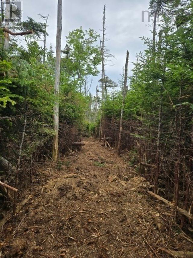 Grant 22407 Sober Island Road Property Photo 2