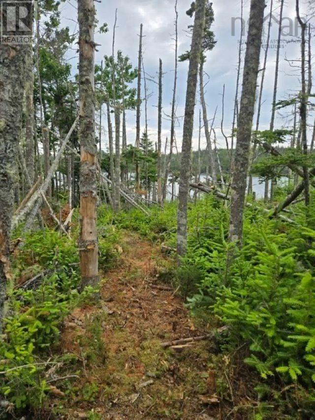 Grant 22407 Sober Island Road Property Photo 7