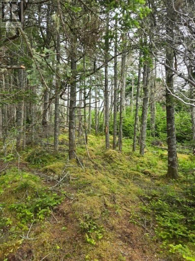 Grant 22407 Sober Island Road Property Photo 8