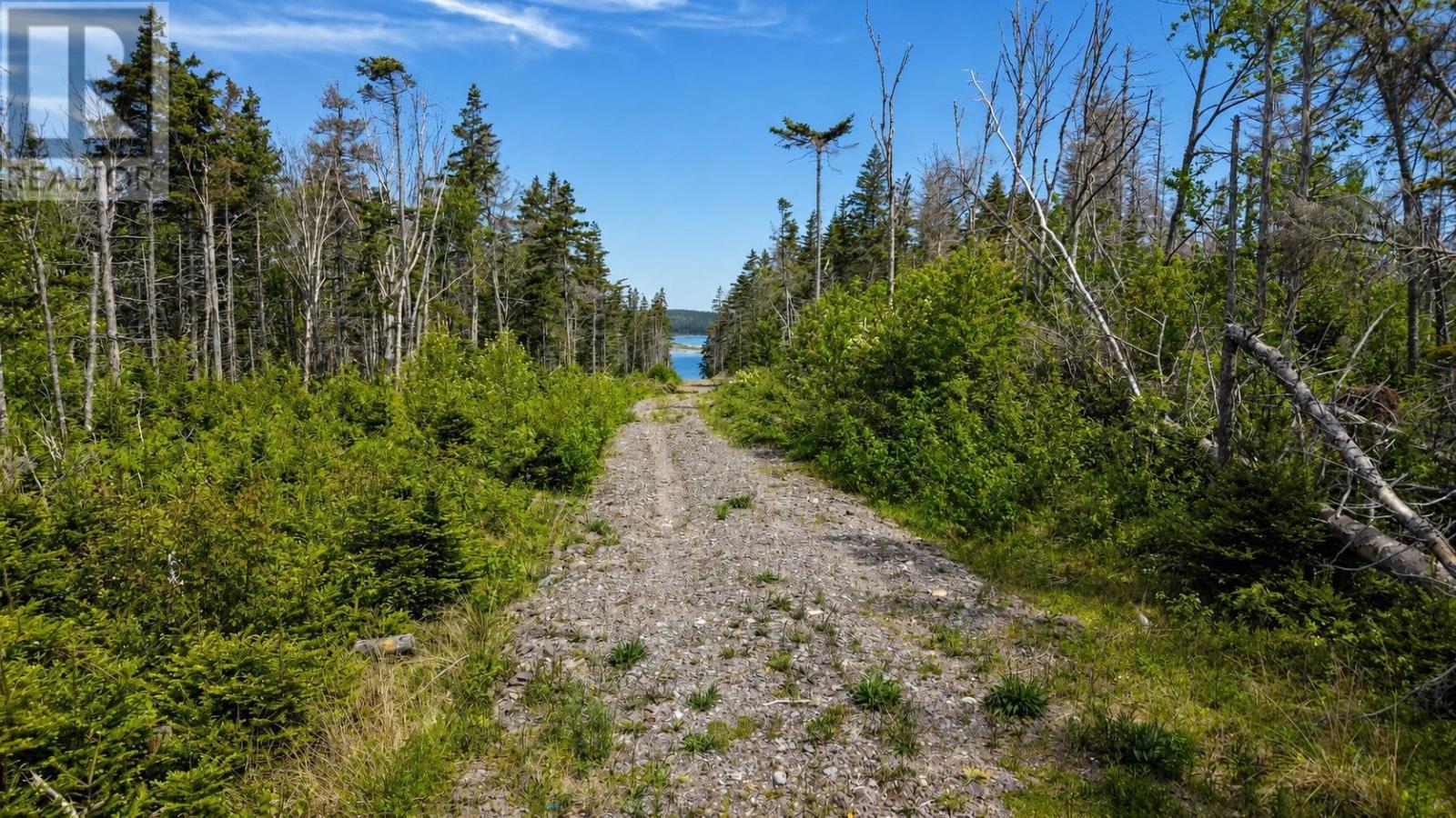 Lot No 327 Highway Property Photo 6