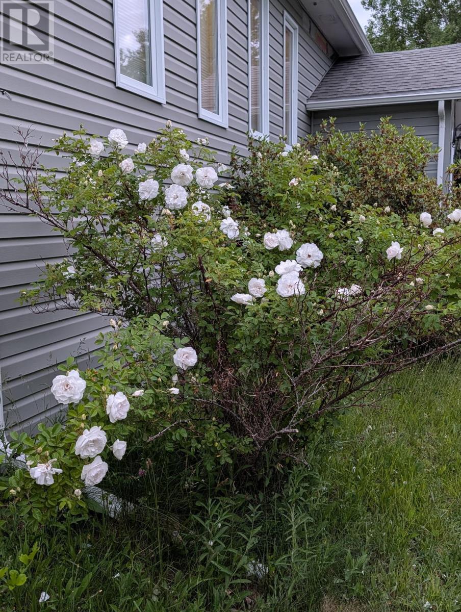 1549 East Dalhousie Road Property Photo 47