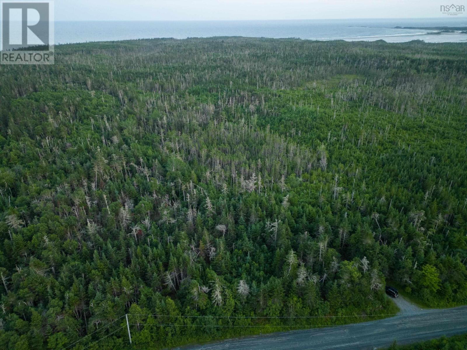 Back Acres Conrod Beach Road Property Photo 10