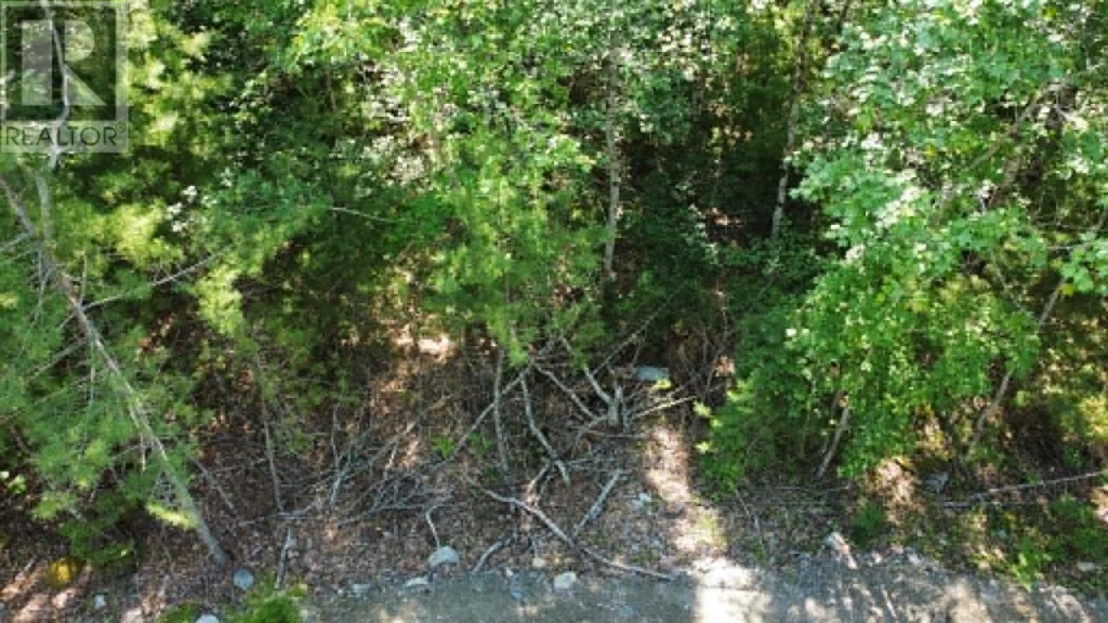 Lot 13 Jordan Branch Road Property Photo 5
