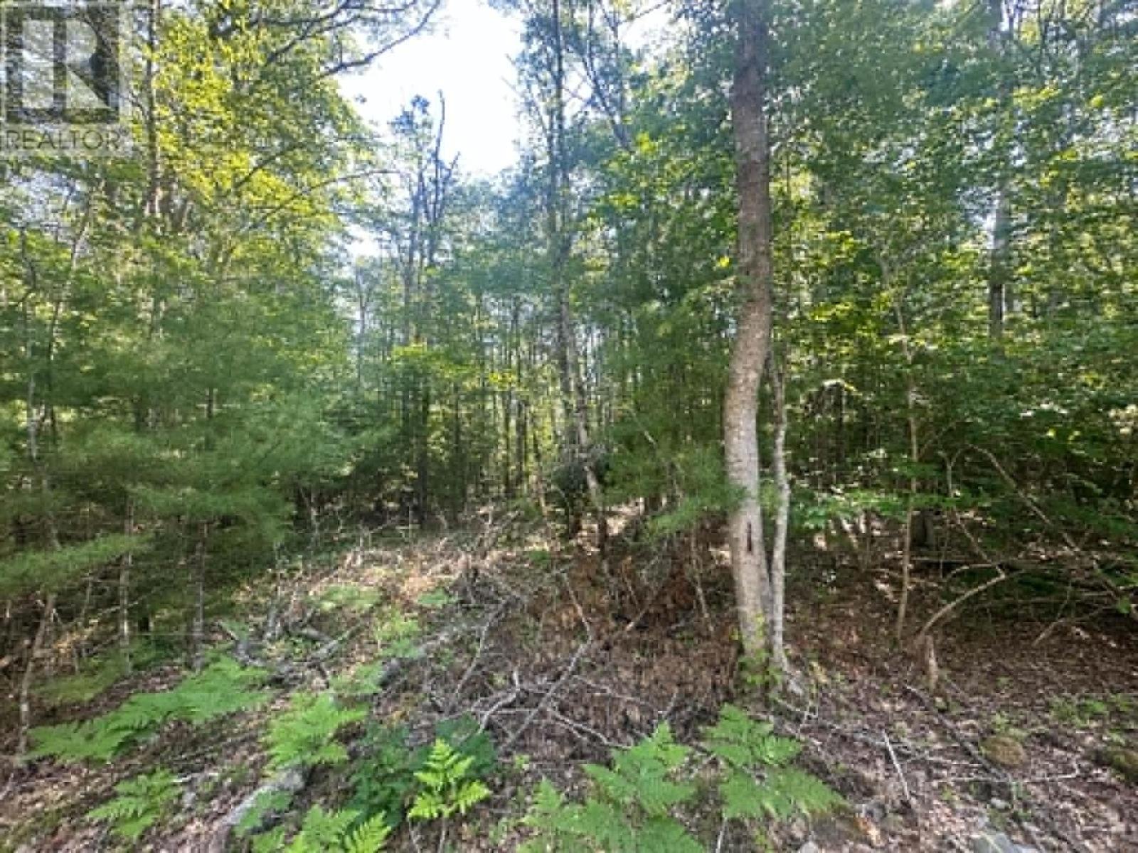 Lot 13 Jordan Branch Road Property Photo 8